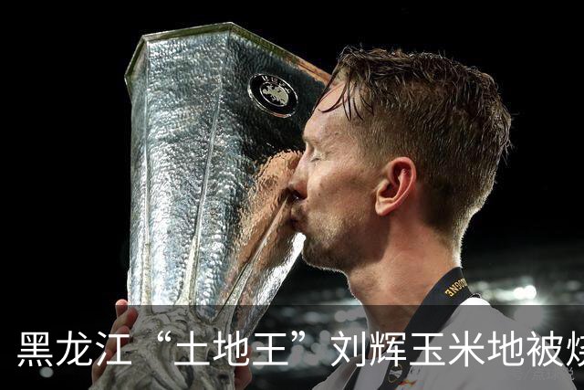 黑龙江“土地王”刘辉玉米地被烧后续来了！下架所有有关视频，自述前因后果